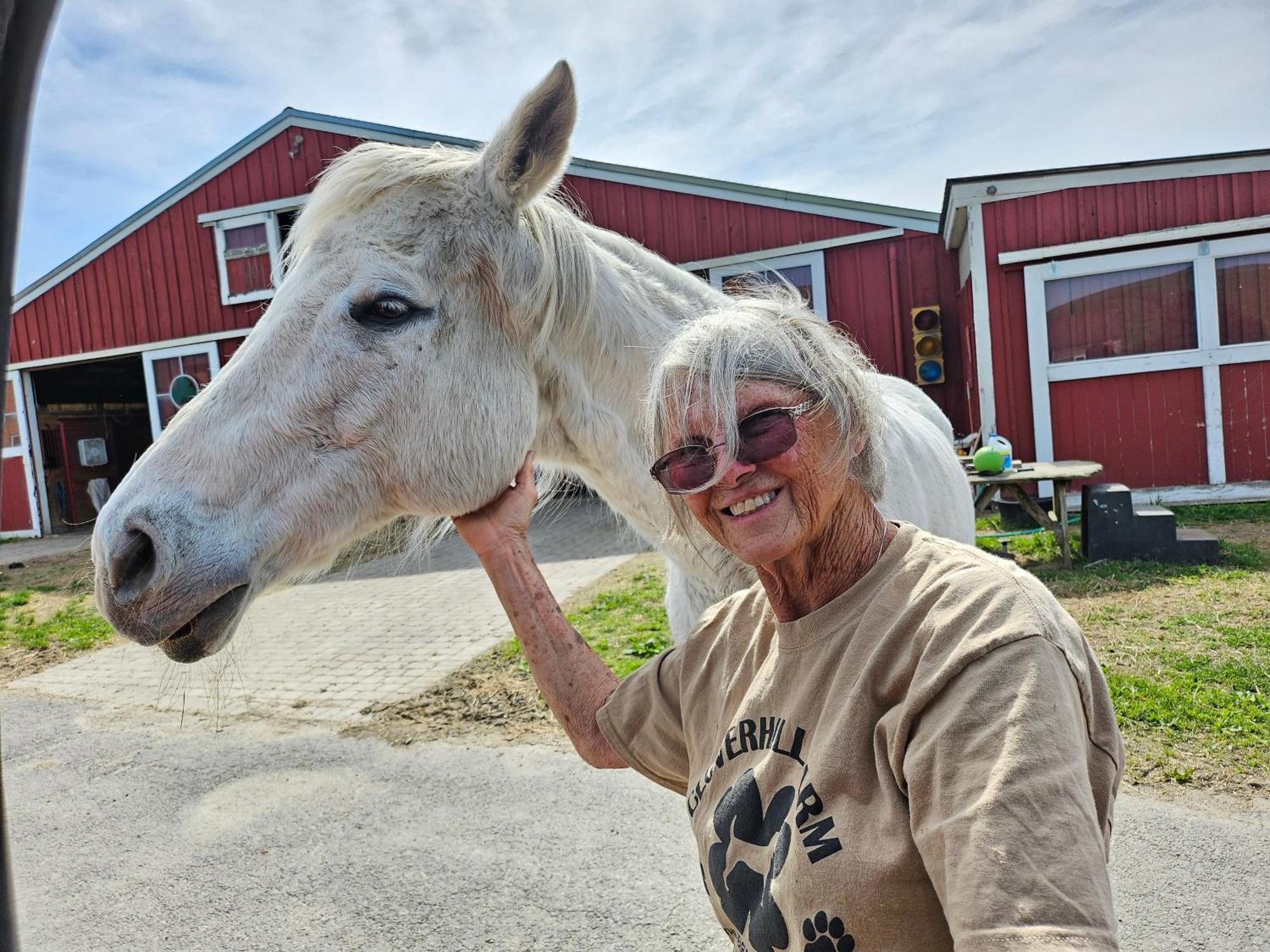 Clover Hill Farm & Country Inn ويليامزتاون المظهر الخارجي الصورة
