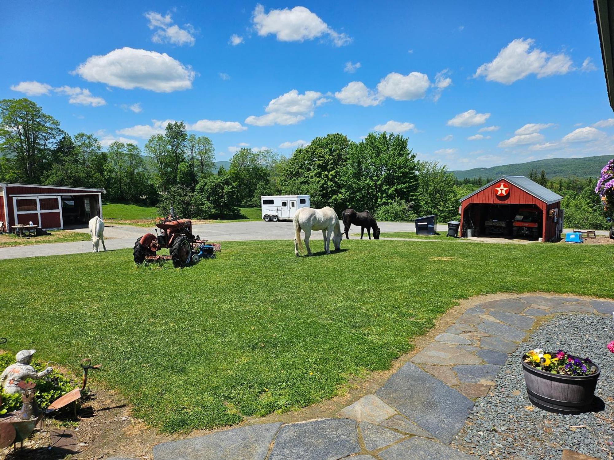 Clover Hill Farm & Country Inn ويليامزتاون المظهر الخارجي الصورة