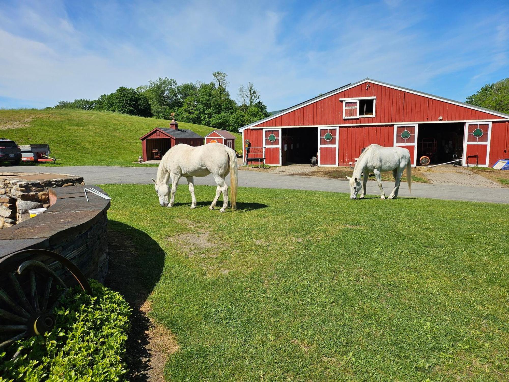 Clover Hill Farm & Country Inn ويليامزتاون المظهر الخارجي الصورة